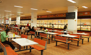 食堂承包經(jīng)營管理